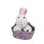 Rabbit (With Basket) - Webkinz